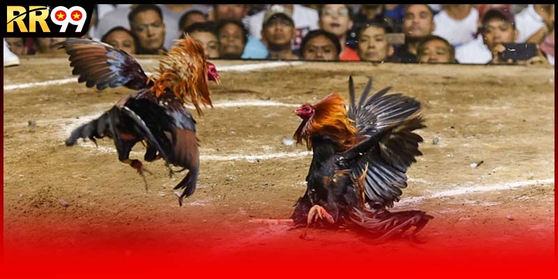 Nền tảng uy tín chất lượng hàng đầu - Trải nghiệm khó quên